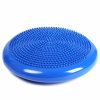 Bosu erizo 35 cm.