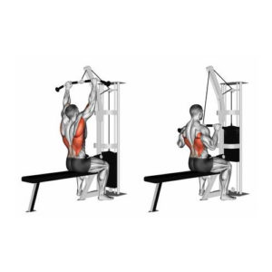 Alternative view of Barra lat pull down