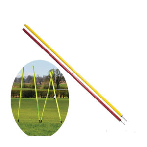 Alternative view of Poste de dribling o slalom.