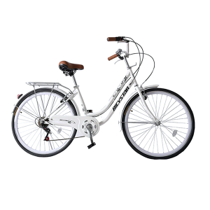 Bicicleta paseo