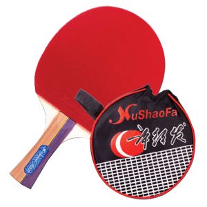 Alternative view of Paleta ping pong Xushaofa